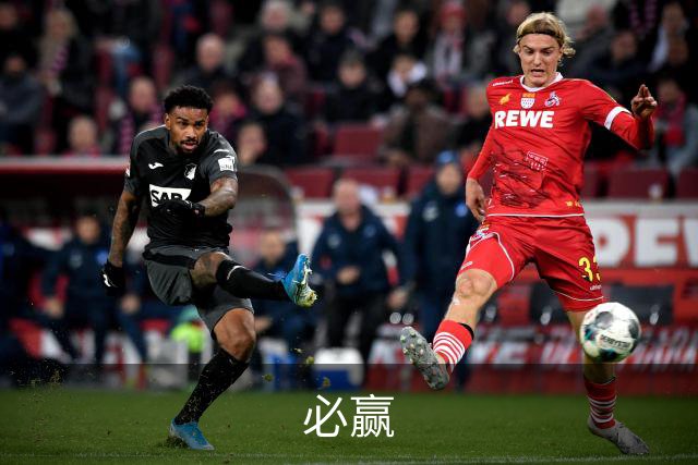 必赢公司简介
